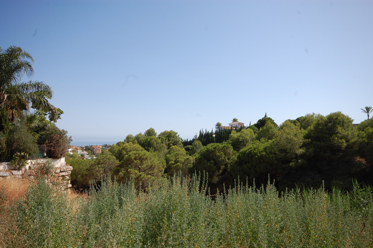 Villa for sale in Selwo (Estepona)