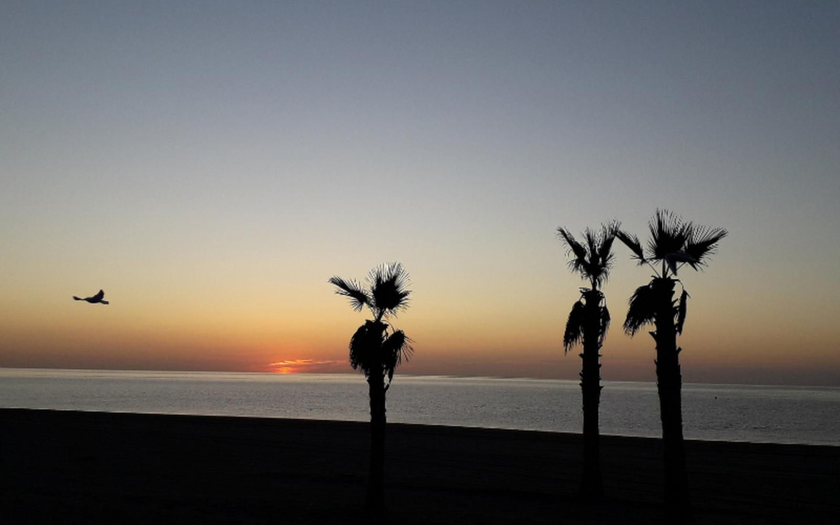 Building for sale in Estepona