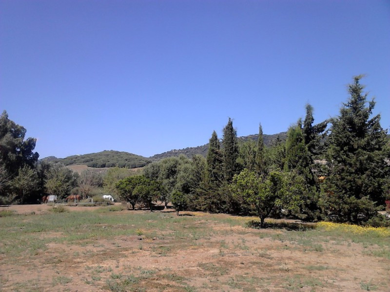 包裹 出售 在 Sotogrande