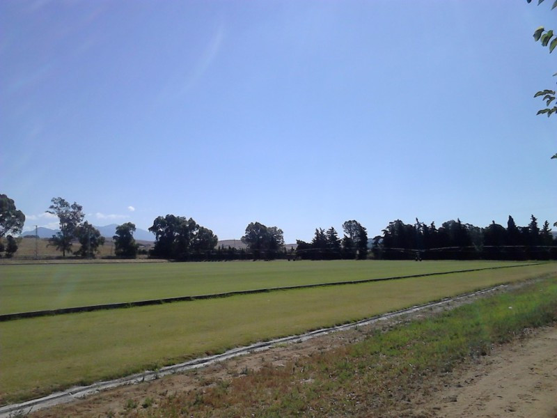 包裹 出售 在 Sotogrande