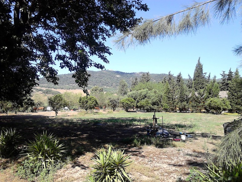 包裹 出售 在 Sotogrande