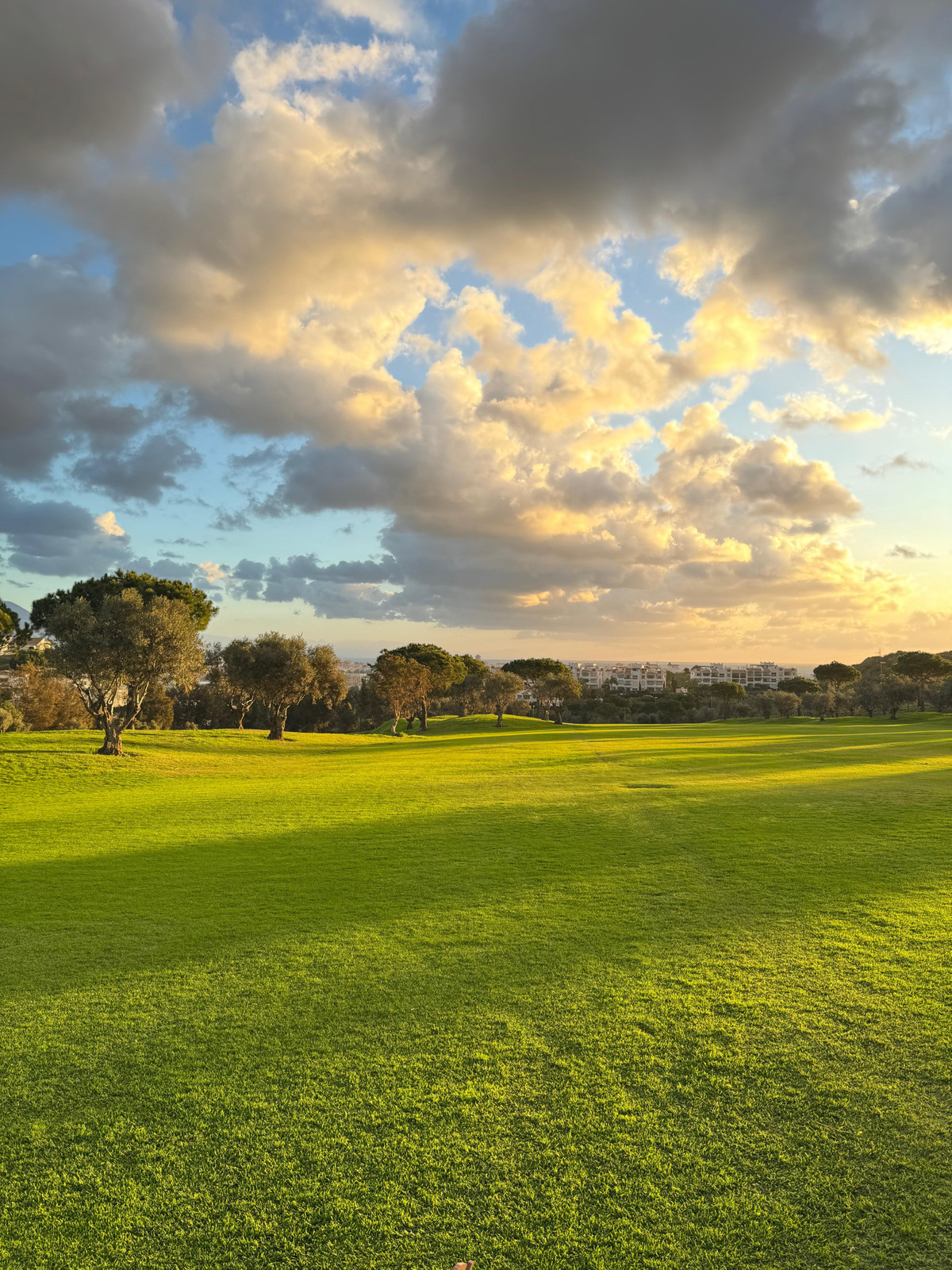 Apartment for sale in Mijas