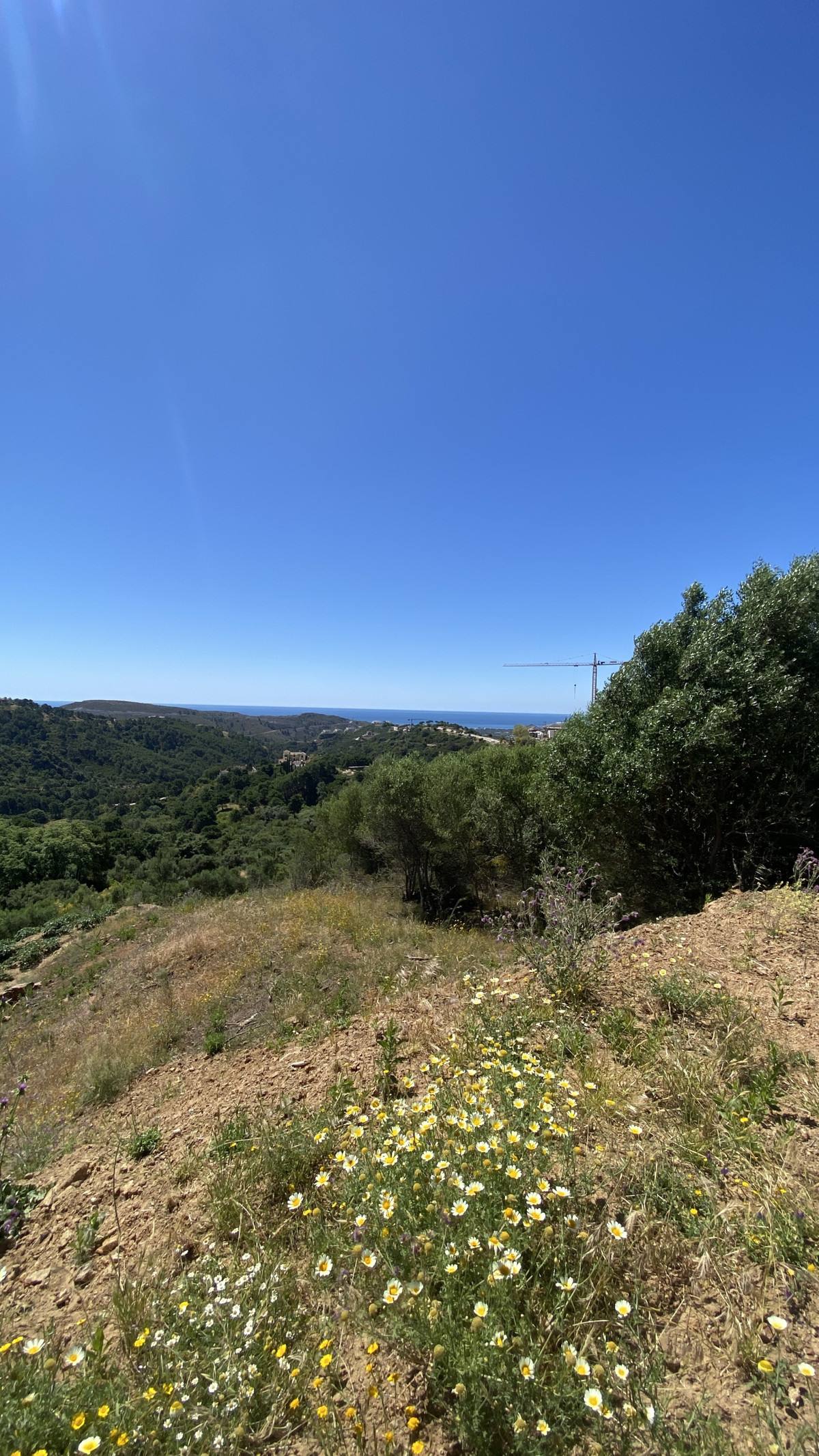 Villa for sale in Benahavís