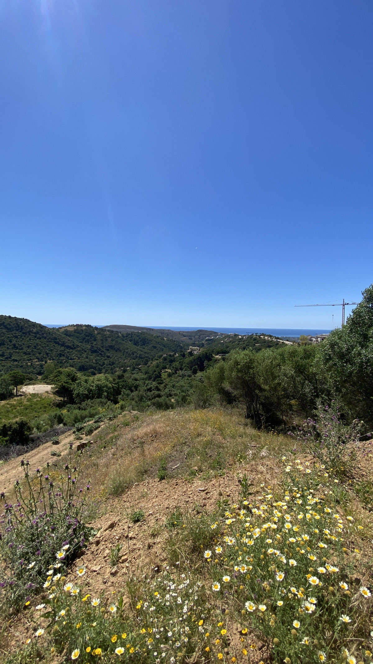 Villa for sale in Benahavís