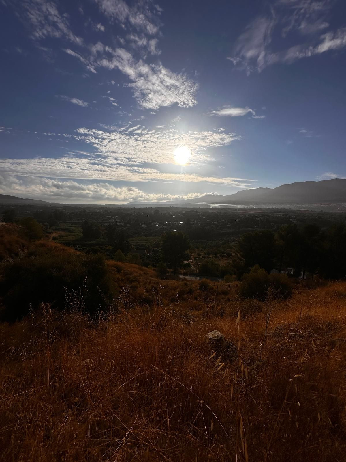 Villa for sale in Alhaurín el Grande