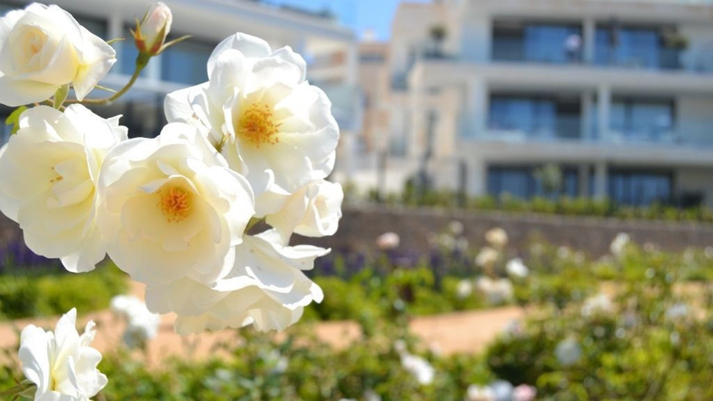 Apartment for sale in Fuengirola