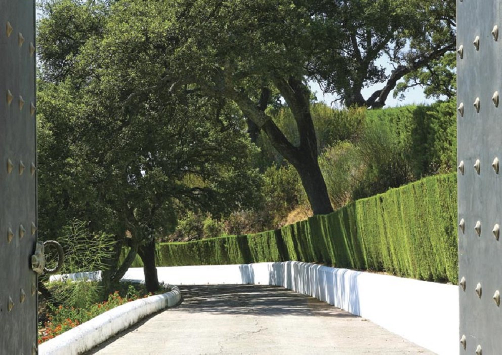 Country Property for sale in Casares