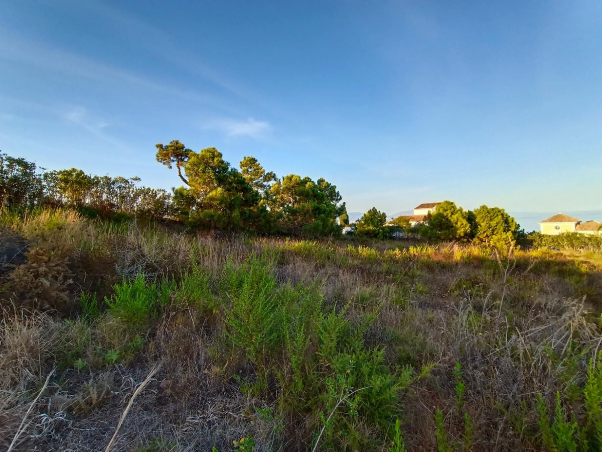 Tontti myynnissä Manilva